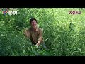 進財開心釣魚意外發現有人跟著王董《火車來去》EP12精華｜公視+熱播中