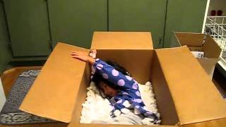 Special Christmas Delivery Momodzilla Is On Her Way To Your Door