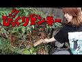 街中のびっくりドンキーな場所を探す