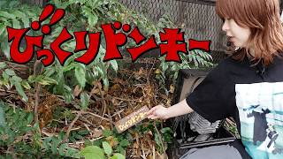 街中のびっくりドンキーな場所を探す
