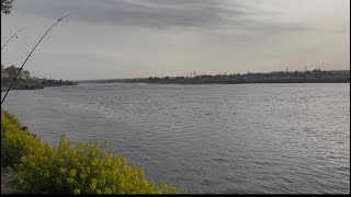 Fırat Nehri Birecik Alabalık Avı Keşif Bol Aksiyon