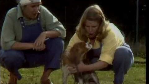 Prisoner Cell Block H gaffes - part 11