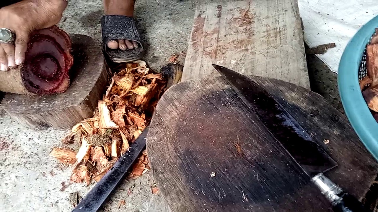 Akar bajakah Morowali 