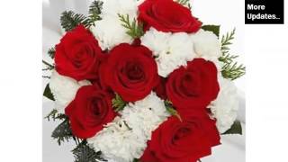 Carnation Flower Bunch | Colorful Canation Beautiful Pictures screenshot 5