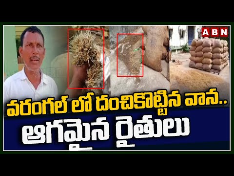 వరంగల్ లో దంచికొట్టిన వాన.. ఆగమైన రైతులు | Warangal | Telangana Farmers | ABN Telugu - ABNTELUGUTV