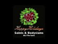 Top Ten WWE Christmas Moments