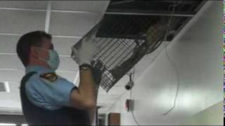 Toronto humane society ...