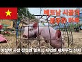 베트남 시골의 분주한 일요일 아침엔 7일장, 점심엔 결혼식 참석, 저녁엔 새차 구입 기념 잔치 #한베커플 #한베부부 #베트남시골
