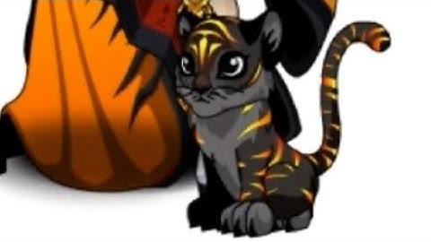 AQWorld getting Fyreborn Tiger Kitty dropped by Sriracha Holycud in /akibacny
