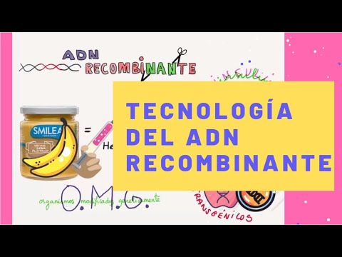 Video: ¿Cuáles son las técnicas de la tecnología del ADN recombinante?