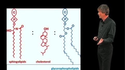 Lipid Sorting - Kai Simons (Max Planck Institute)