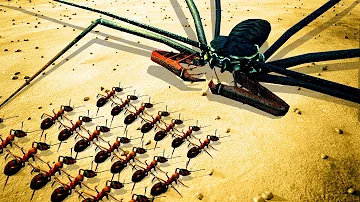 BIGGEST SPIDER in the WORLD Fights a Huge Ant Army in Empires of the Undergrowth!