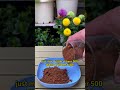 #garden #gardening #gardentips #gardeningtips #planting #planttips #g