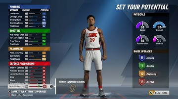 BEST CENTER BUILD ON NBA 2K20! PAINT BEAST BUILD! BEST DEMIGOD BUILD ON 2k20!