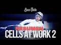 RESUMEN | CELLS AT WORK 2 THE STAGE | BY SNOW ÑUSTA