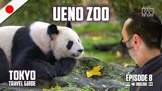 Ueno Zoo Tokyo | Panda in Ueno Park | Japan Travel Guide screenshot 2