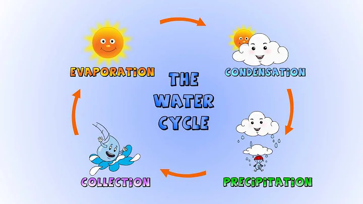 The Water Cycle- How rain is formed-Lesson for kids - DayDayNews