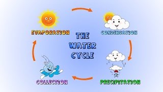 The Water Cycle How rain is formedLesson for kids