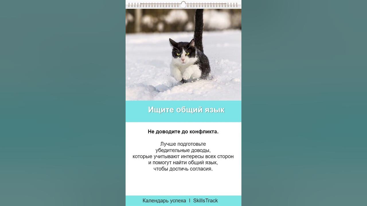 Календарь успеха #134. Ищите общий язык - YouTube