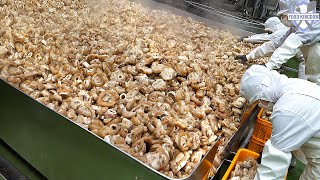 картинка: Захватывающий процесс! Food Kingdom Best 10 collection 2022 год / korean food factory