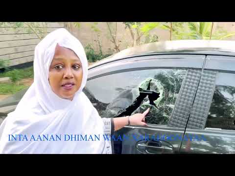 XALAY JABAA IGU DHACAY WAANSE KA NOOLAHAY DHIBKAAN QARINAYEY QAARNA AAN IDIIN SHEEGAY USA