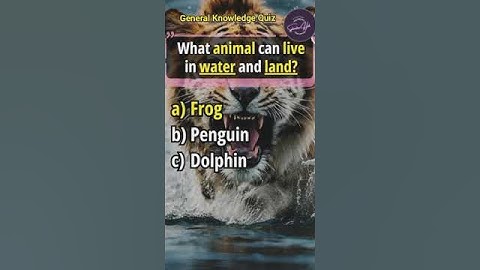 General Knowledge Quiz Part 10 | Splendour Hub #youtubeshorts