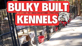 Bulky Built Bulldogs Kennel Tour