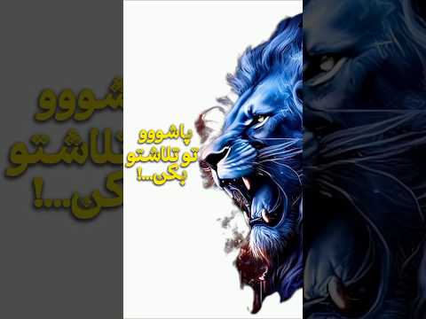اگه از رویاهات دست بکشی دیگه جی برات میمونه