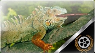 Tempo Ice Cream Commercial Part 2 Ashtarak Kat 2011 Hd