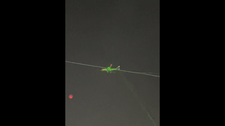 Everyone Points Lasers at Plane Passing By || ViralHog