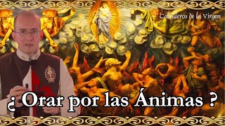 ¿Debo orar por las ánimas del purgatorio? Impresionante historia. Caballeros de la Virgen