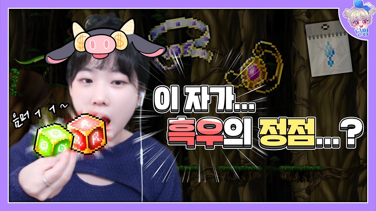 [메이플 딘썽] 옴뇸뇸🙄 │딘썽 스펙업#15 - YouTube
