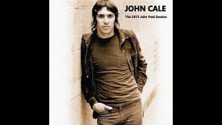 John Cale - "Darling I Need You"  : John Peel BBC Radio 1 session :  May 1st 1975 / 01.05.75