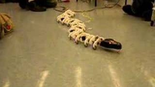 Olin College Snake Project