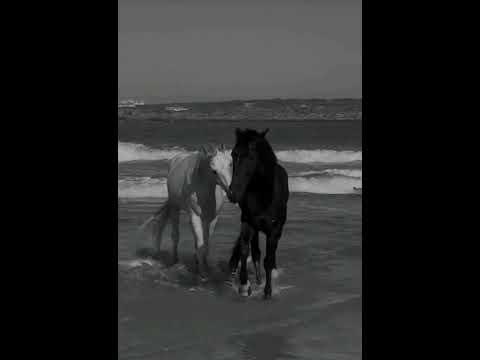 لو كنت نغمض عينيا وتاخذني الأحلام من ايديا لو كنت نغمض عينيا وتاخذني الأحلام من ايديا