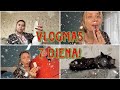 VLOGMAS 7 DIENA!(Vorai, Kojos skausmas ir Advento kalendoriai)