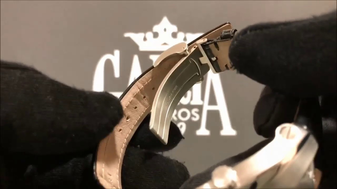 Bvlgari Ergon Automatic 541136