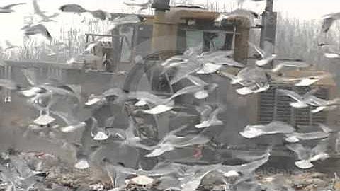 Video Clips for PowerPoint by CrystalGraphics - Pollution 02