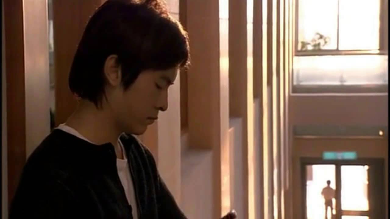 台湾ドラマ 悪戯なキス２ 最終回の涙 コスモスの妖精のブログ