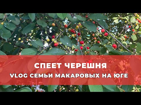 Видео: Я открываю свое дело! Немного Вам покажу.