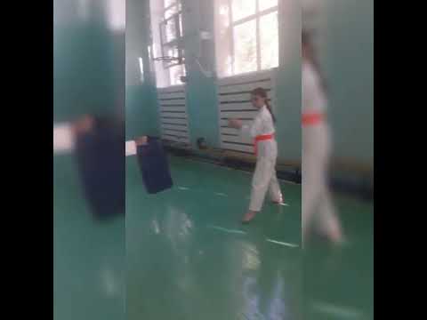 Каратэ Шуто укэ