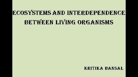 Ecosystems and Interdependence between living organisms