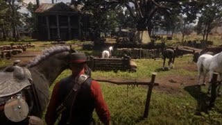 How to remove stuck pelt from horse