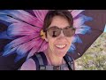 Hike  lunch in valley of fire vanlife