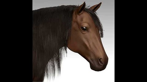 Horse 3D model from CGTrader.com