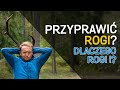 Przyprawić rogi? Kaczka dziennikarska? - Skąd się wzięły te i inne leśne wyrażenia - o Lesie #37