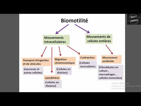 Vidéo: L'attrait D'un Bon Port Spatial