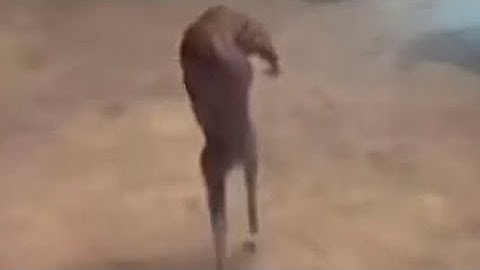 1:05 matrix comp late join 👎