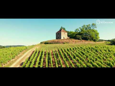 At the heart of the terroirs of Mâcon-Saint-Gengoux-Le-National