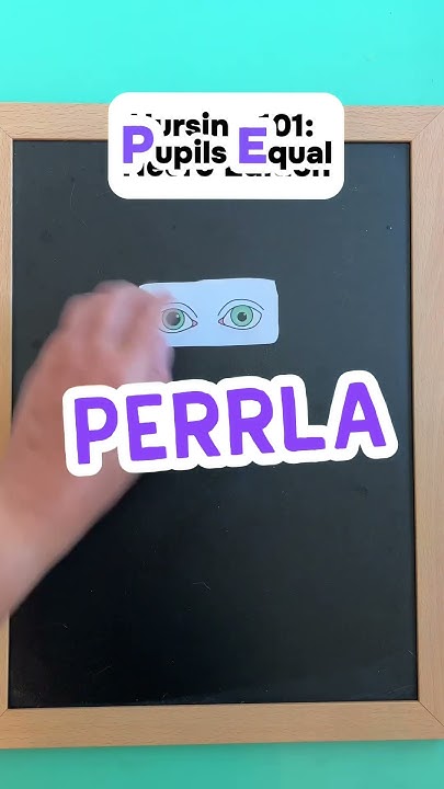 what-does-perrla-mean-nursingstudent-nursingschool-shorts-youtube